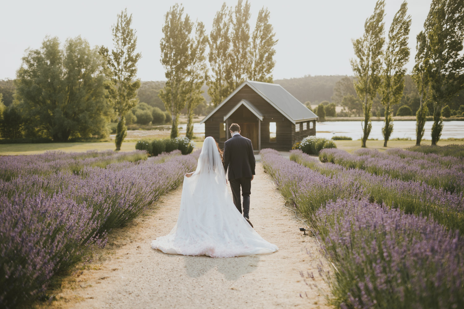 A newly married couple walking through a lavender field